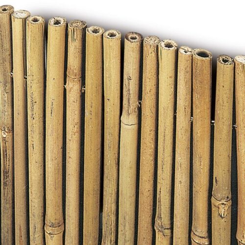 Arella bambu’ cm100 x 300
